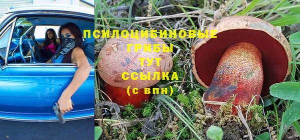 мет Нягань