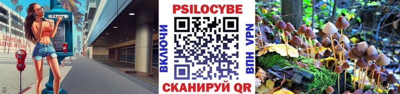 Псилоцибиновые грибы Psilocybine cubensis  Купить где  Новодвинск 